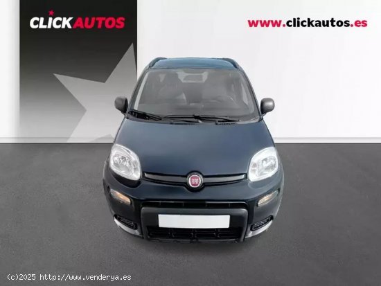 Fiat Panda 1.0 GSE 70CV City Life Hybrid Connect 4pl. - ASTURIAS