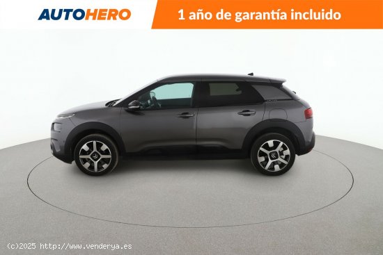 Citroën C4 Cactus 1.2 PureTech Shine Pack - 