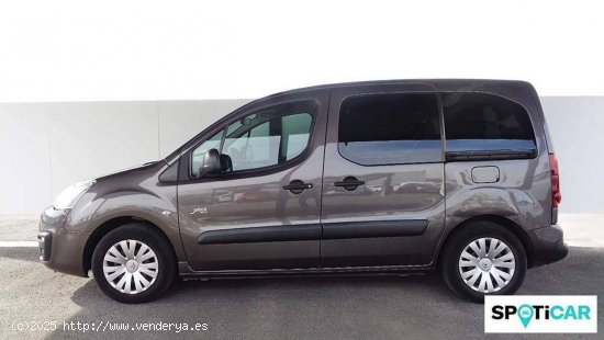 Citroën Berlingo  Multispace  BlueHDi 100 Live Edition - Córdoba