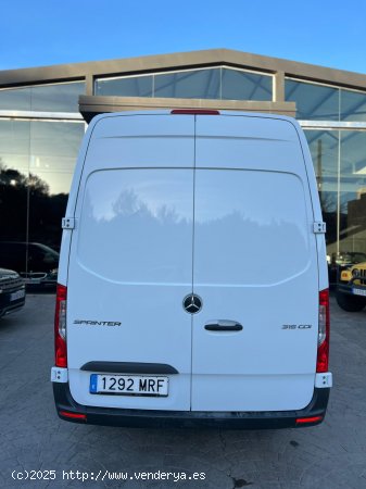 Mercedes Sprinter 315 CDI L2H2 - Palma