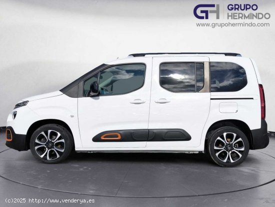 Citroën Berlingo TALLA M BLUE HDI 100 CV SHINE - Ponteareas