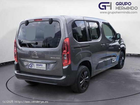 Citroën Berlingo TALLA M BLUE HDI 100 CV SHINE - Ponteareas