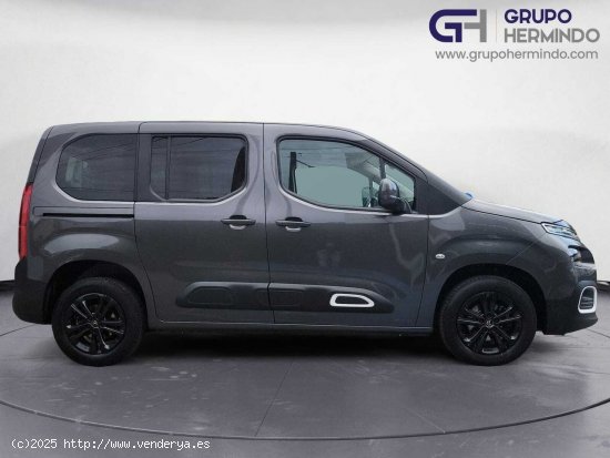 Citroën Berlingo TALLA M BLUE HDI 100 CV SHINE - Ponteareas