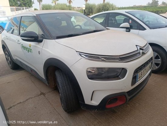 Citroën C4 Cactus C SERIES BLUE HDI 100 CV - Ponteareas