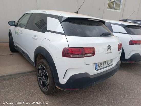 Citroën C4 Cactus C SERIES BLUE HDI 100 CV - Ponteareas