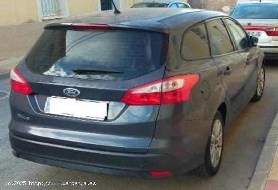 FORD Focus en venta en Murcia (Murcia) - Murcia