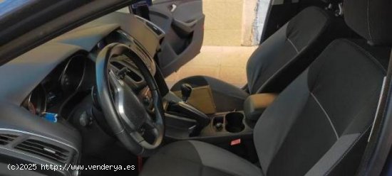 FORD Focus en venta en Murcia (Murcia) - Murcia