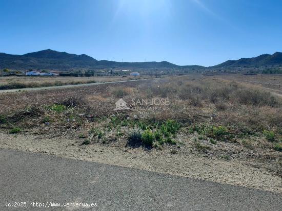 VENTA DE PARCELA RUSTICA AL LADO DEL PUEBLO EN HONDON DE LOS FRAILES - ALICANTE