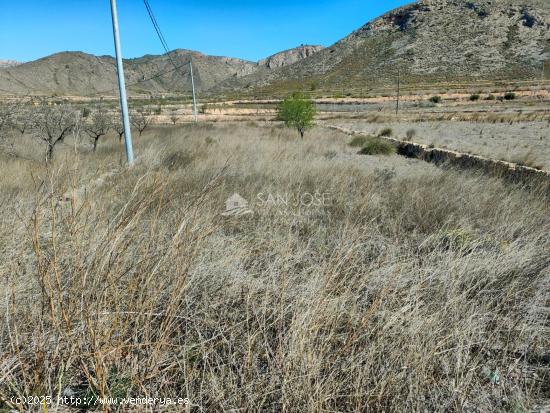 SE VENDE PARCELA EN BARBARROJA CERCA DEL PUEBLO - ALICANTE