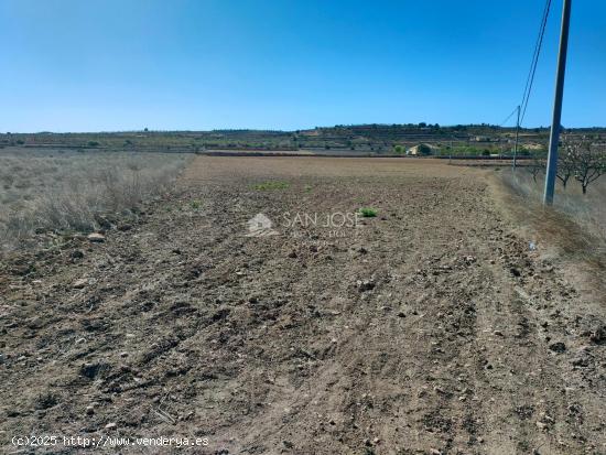 SE VENDE PARCELA EN BARBARROJA CERCA DEL PUEBLO - ALICANTE