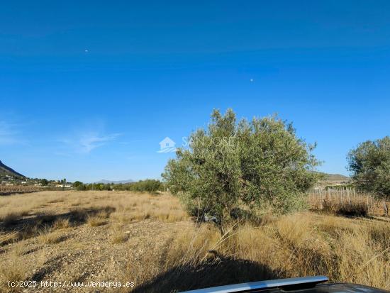 SE VENDE PARCELA RUSTICA EN HONDON DE LOS FRAILES ZONA LA SOLANA - ALICANTE