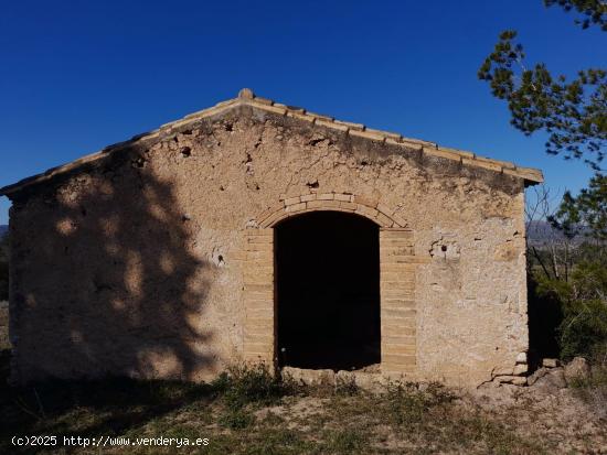  OCASION FINCA RUSTICA EN GINESTAR DE 2,8 HAS. CON MASIA Y POSIBILIDAD DE RIEGO - TARRAGONA 