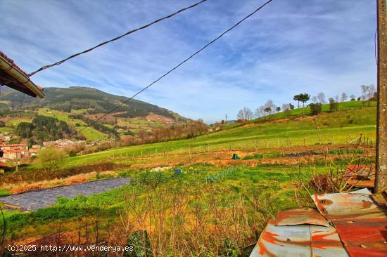 TERRENO RUSTICO EN BALMASEDA - VIZCAYA