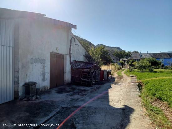 SE VENDE FINCA URBANA CON CASETA DE APEROS - LEON