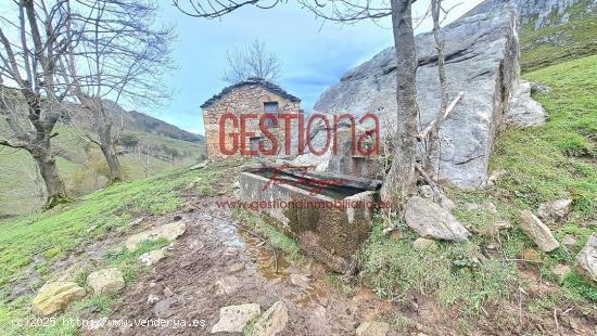 CABAÑA DE PIEDRA EN SOBA. VALDICCON - CANTABRIA