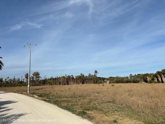  Oportunidad Terreno de 12.000 metros ideal para hacer tus sueños realidad - ALICANTE 