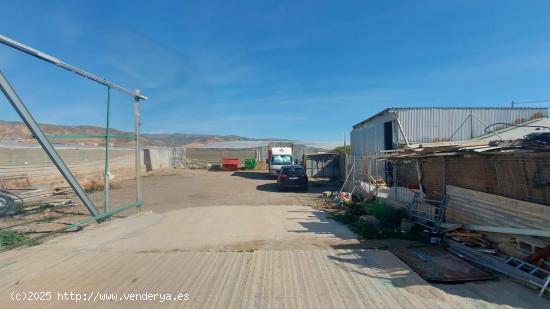  Invernadero en la Puebla de Vicar - ALMERIA 