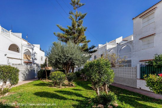 Casa en venta en Torrevieja (Alicante)