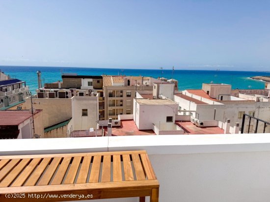 Apartamento en venta en Torrevieja (Alicante)