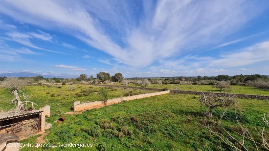 Solar en venta en Algaida (Baleares)