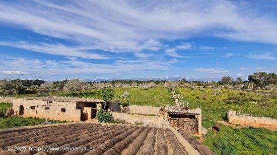 Solar en venta en Algaida (Baleares)