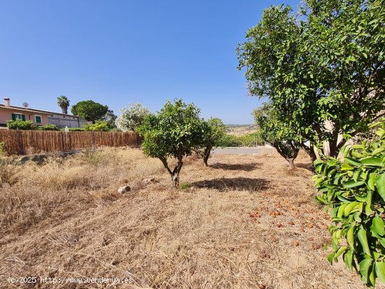 Solar en venta en Santa Margalida (Baleares)