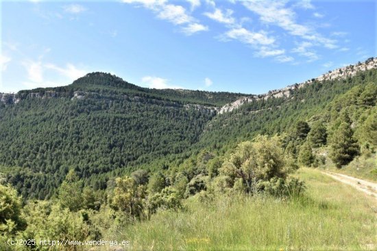 Finca en venta en Peñarroya de Tastavins (Teruel)