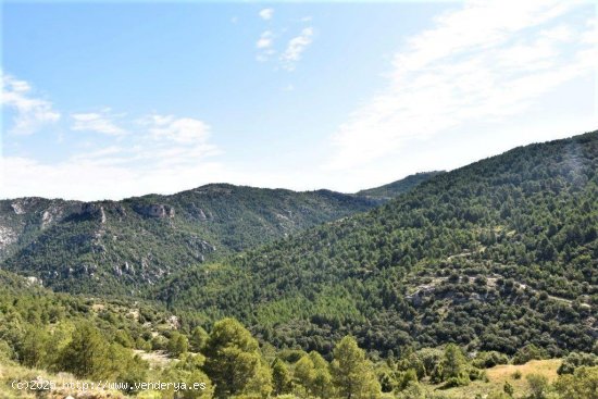 Finca en venta en Peñarroya de Tastavins (Teruel)