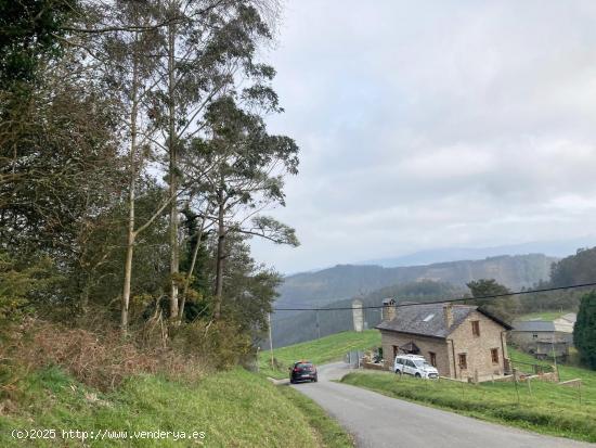  A la venta 3 PARCELAS de SUELO URBANO sin edificar a 5 km. de Vegadeo (Asturias) - ASTURIAS 