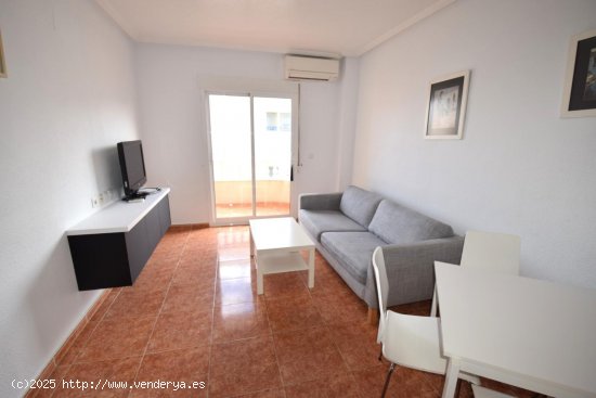 Apartamento en alquiler en Guardamar del Segura (Alicante)