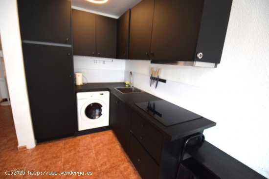 Apartamento en alquiler en Guardamar del Segura (Alicante)