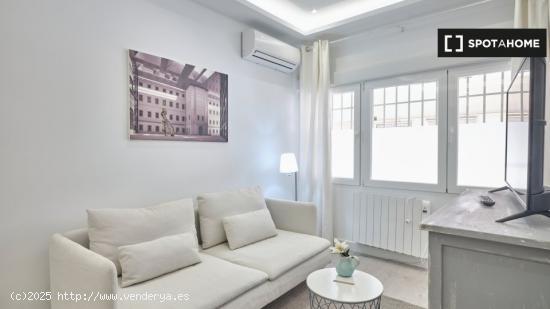 Apartamento entero de 1 habitaciones en Madrid - MADRID