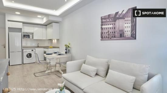 Apartamento entero de 1 habitaciones en Madrid - MADRID