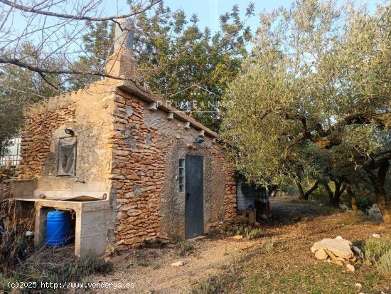  Finca en venta en Rasquera (Tarragona) 