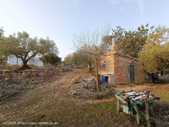 Finca en venta en Rasquera (Tarragona)