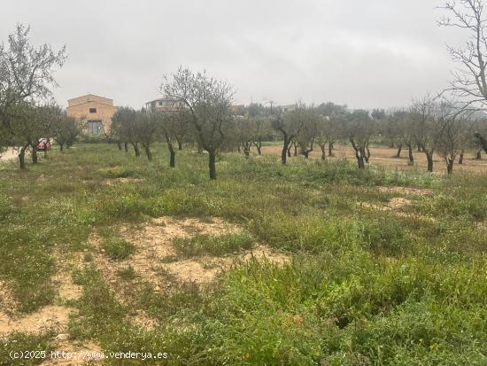 Finca rústica en La Fresneda - TERUEL