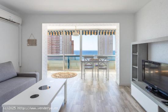  Apartamento reformado con vistas al mar y piscina comunitaria - Alquiler máximo 5 meses - ALICANTE 