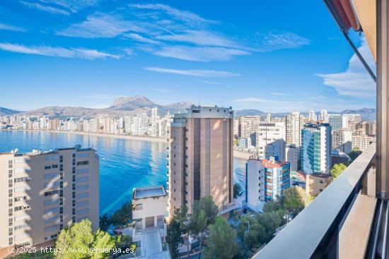  Apartamento 1 Habitación en Primera Línea con Vistas al Mar – Alquiler Máximo 5-6 Meses - ALICA 