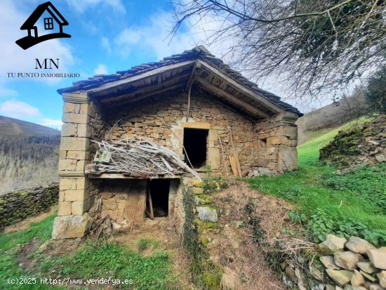  VENTA DE FINCAS Y CONJUNTO DE TRES CABAÑAS PASIEGAS EN SAN PEDRO DEL ROMERAL - CANTABRIA 