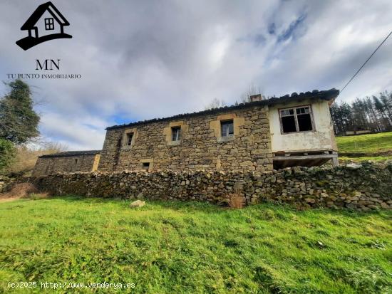 VENTA DE FINCAS Y CONJUNTO DE TRES CABAÑAS PASIEGAS EN SAN PEDRO DEL ROMERAL - CANTABRIA