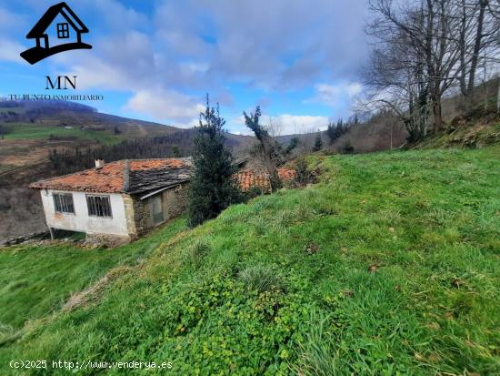 VENTA DE FINCAS Y CONJUNTO DE TRES CABAÑAS PASIEGAS EN SAN PEDRO DEL ROMERAL - CANTABRIA