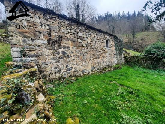 VENTA DE FINCAS Y CONJUNTO DE TRES CABAÑAS PASIEGAS EN SAN PEDRO DEL ROMERAL - CANTABRIA