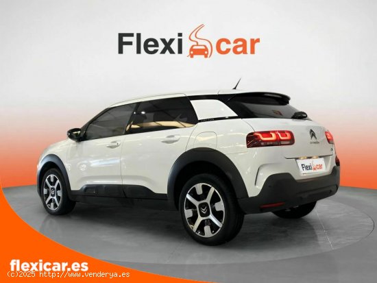 Citroën C4 Cactus PureTech 110 S&S Feel - Alcalá de Guadaíra