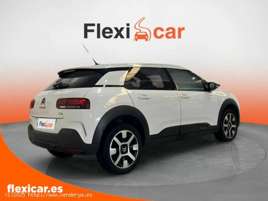 Citroën C4 Cactus PureTech 110 S&S Feel - Alcalá de Guadaíra