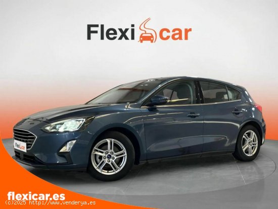 Ford Focus 1.5 Ecoblue 88kW Active - Alcalá de Guadaíra