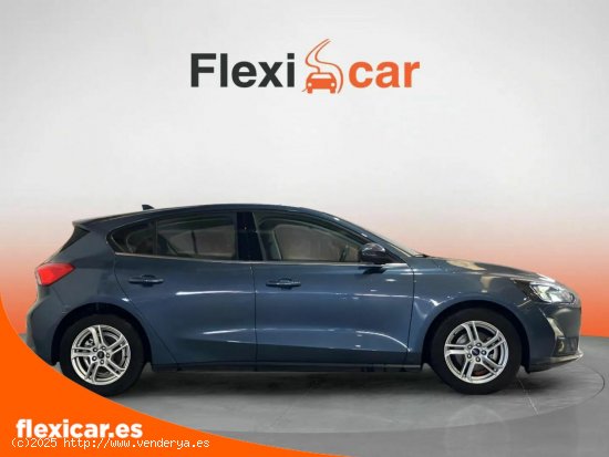 Ford Focus 1.5 Ecoblue 88kW Active - Alcalá de Guadaíra