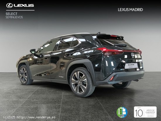 Lexus UX 2.0 250h Executive Plus - Madrid