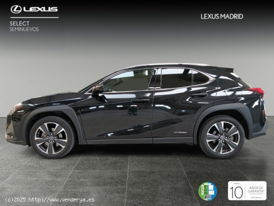 Lexus UX 2.0 250h Executive Plus - Madrid