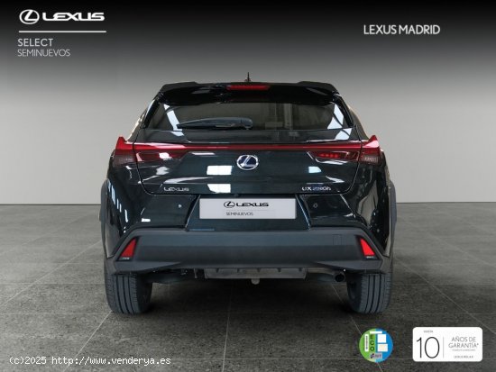 Lexus UX 2.0 250h Executive Plus - Madrid