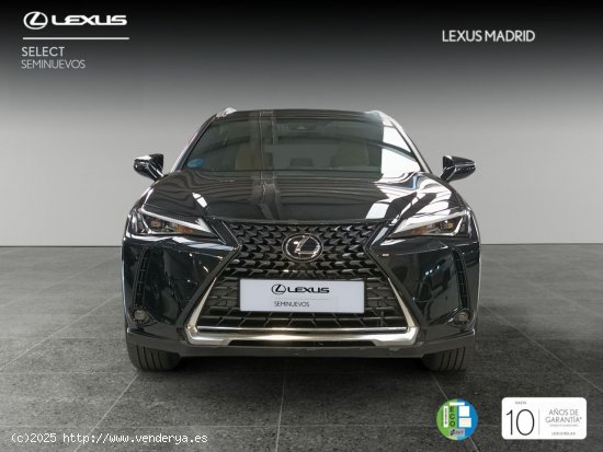 Lexus UX 2.0 250h Executive Plus - Madrid